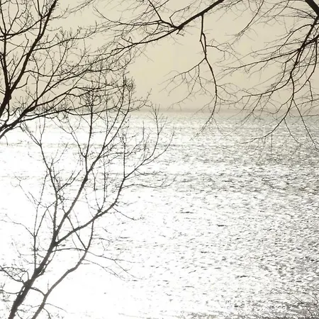 度假居 Silbermoewe 136 Qm Mit Sauna Kamin 2 Terrassen