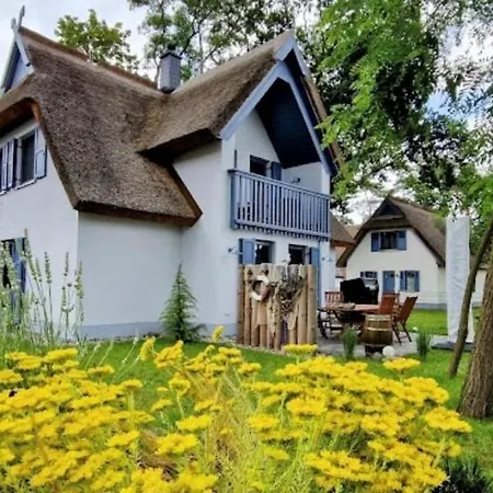 Silbermoewe 136 Qm Mit Sauna Kamin 2 Terrassen *