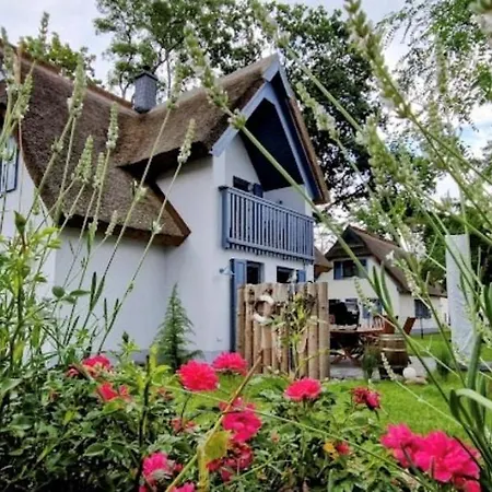 Silbermoewe 136 Qm Mit Sauna Kamin 2 Terrassen * Zirchow