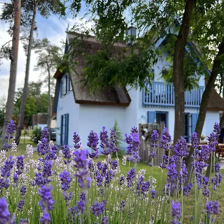 Silbermoewe 136 Qm Mit Sauna Kamin 2 Terrassen 度假居