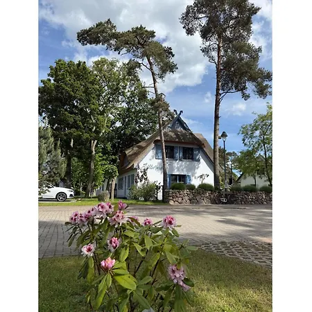 Silbermoewe 136 Qm Mit Sauna Kamin 2 Terrassen Feriehus