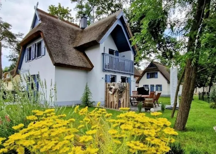 Silbermoewe 136 Qm Mit Sauna Kamin 2 Terrassen *