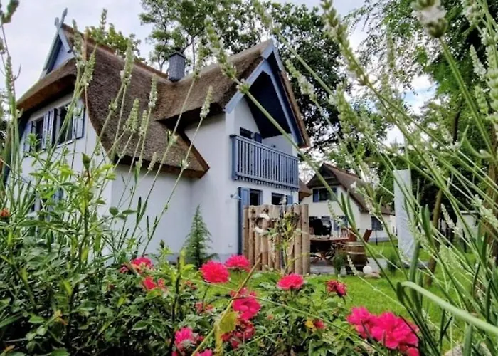 Silbermoewe 136 Qm Mit Sauna Kamin 2 Terrassen * Zirchow