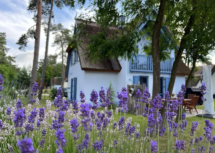 Silbermoewe 136 Qm Mit Sauna Kamin 2 Terrassen Prázdninový dům