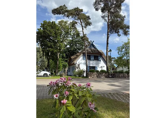 Prázdninový dům Silbermoewe 136 Qm Mit Sauna Kamin 2 Terrassen Zirchow